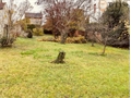 Terrain à bâtir à la vente